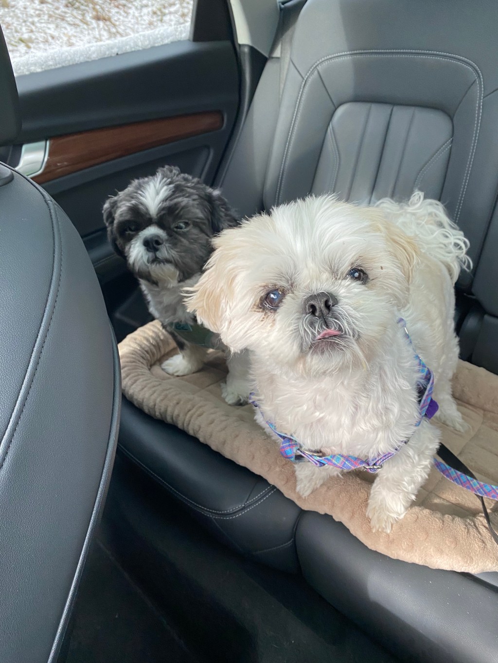 Hope in the&nbsp;Trial