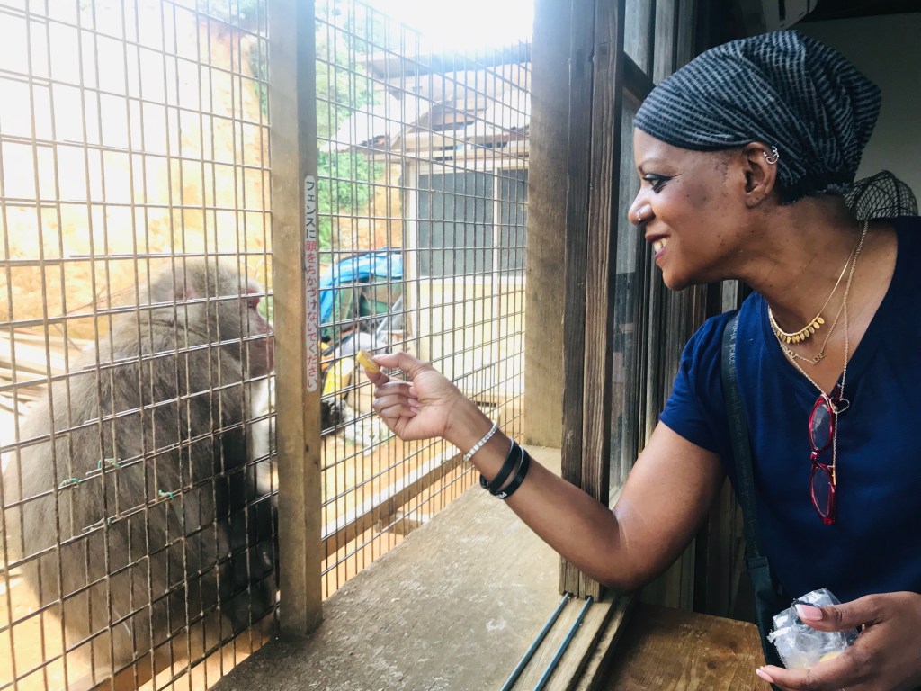 Hope in the New&nbsp;Things