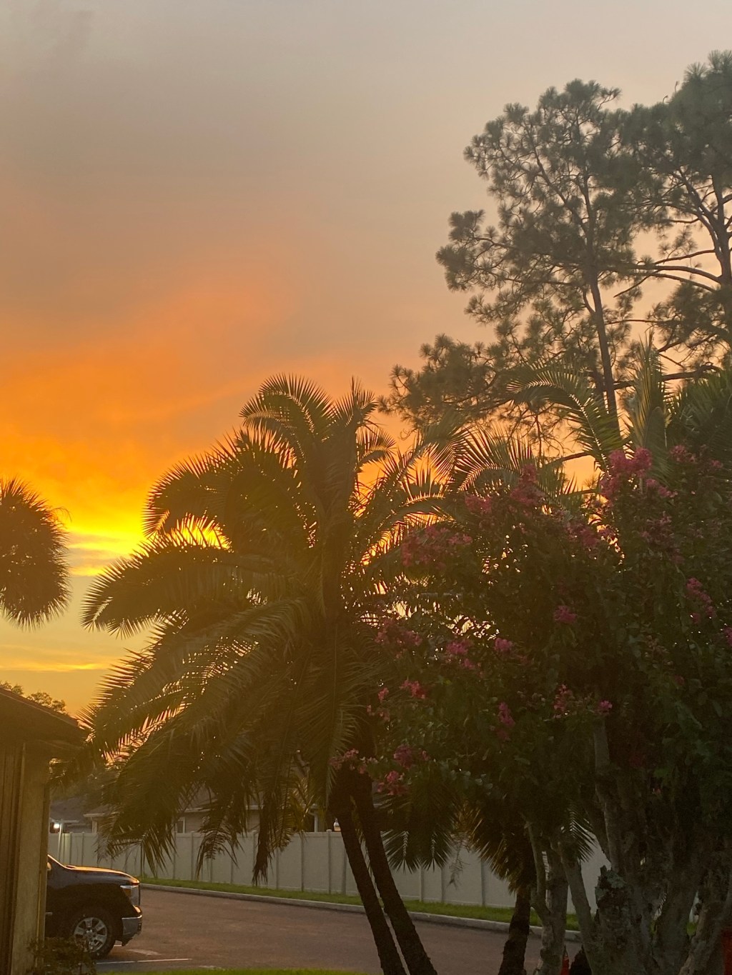 Finding Hope in the Pursuit of a&nbsp;Dream