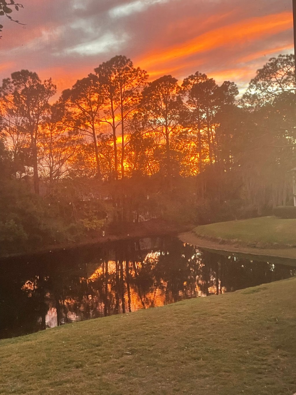 Happy New Year&nbsp;Readers